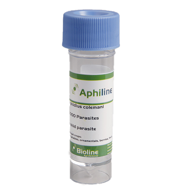 Aphiline c Aphidius cole mani - 1000 per 30ml vial - Biological Control